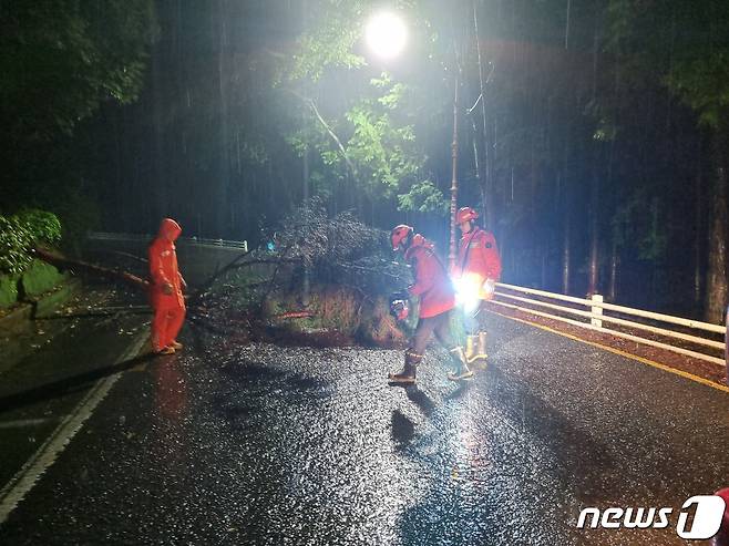 27일 오후 11시쯤 진주시 판문동 한 도로에 나무가 쓰러져 소방이 안전조치를 하고 있다.(경남소방본부 제공)