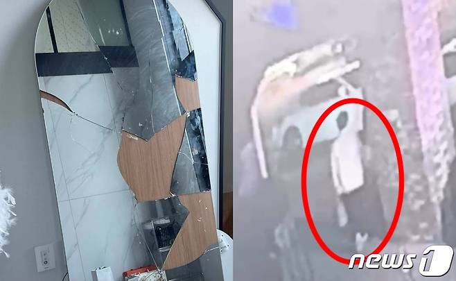 (동물권단체 '케어' 인스타그램 갈무리)