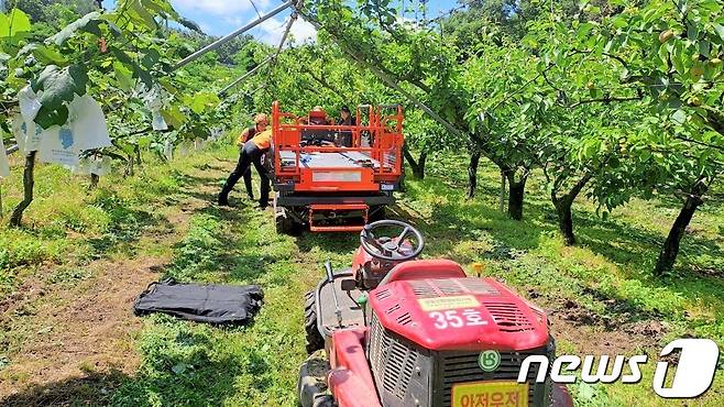 27일 오전 10시34분쯤 충북 영동군 영동읍 주곡리 한 배 과수원에서 50대 남자의 머리가 농업용 고소작업차 리프트에 끼는 사고가 발생했다. (영동소방서 제공)