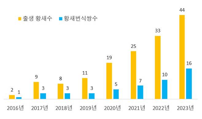 황새 번식쌍 수와 출생 황새수 증가 그래프