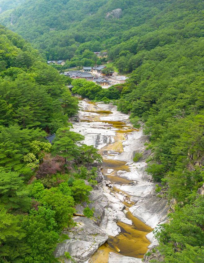 숲에 둘러싸인 무릉반석과 삼화사 [촬영=채지형 작가]