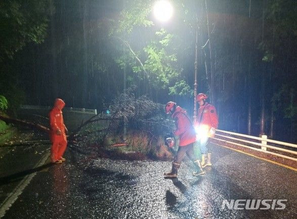 [진주=뉴시스] 홍정명 기자=경남소방이 지난 27일 밤 11시께 진주시 판문동 한 도로에 쓰러진 나무를 치우고 있다.(경남소방본부 제공)2023.06.28. photo@newsis.com