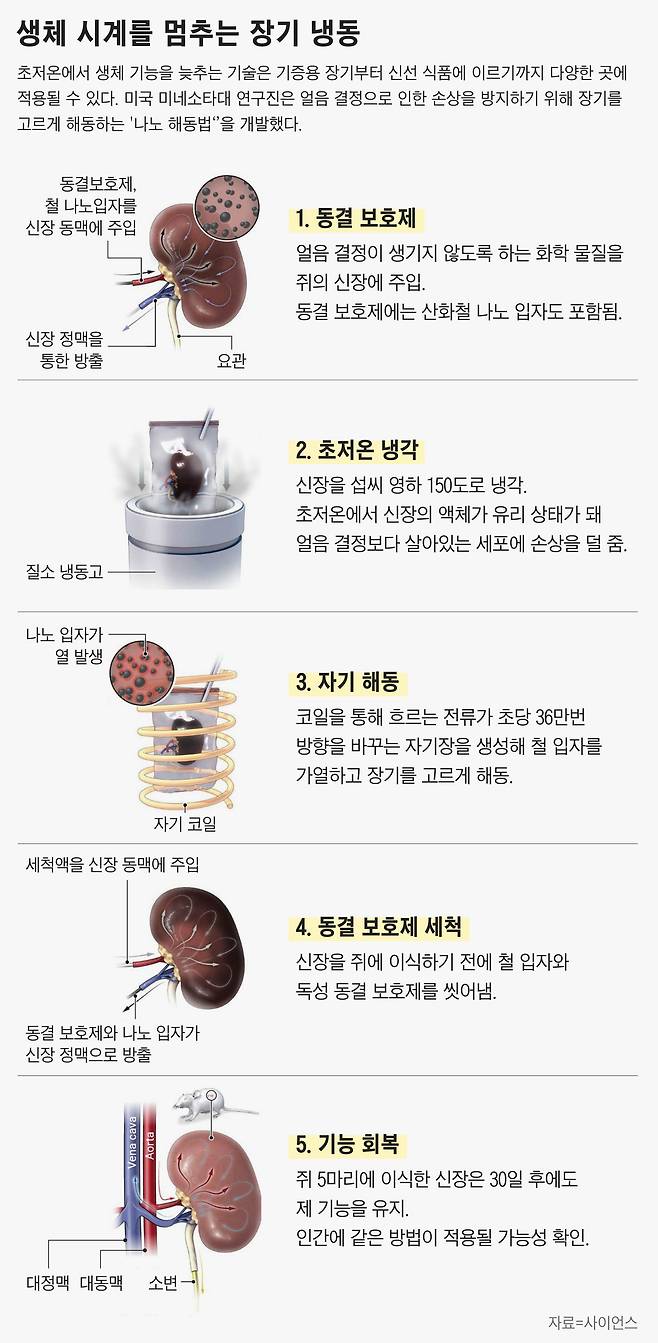 그래픽=정서희