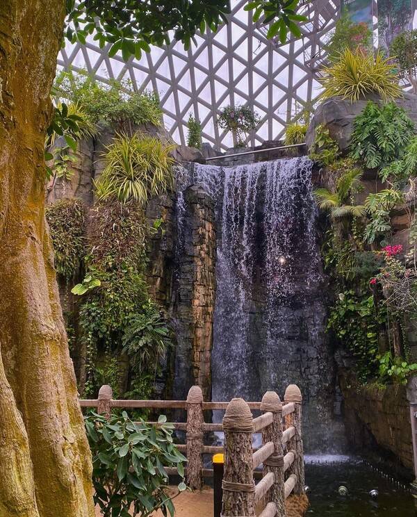 거제수목원 / @nyunvel&nbsp;