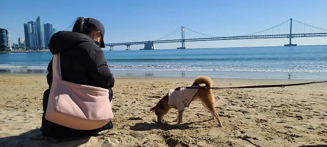 바다 여행 중인 반려견과 견주 (한국관광공사 제공)