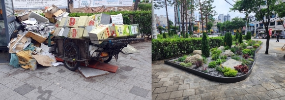 사람들이 무단 투기한 쓰레기로 가득했던 서울 성북구 안암오거리 일대(왼쪽)가 식물과 꽃으로 가득한 정원으로 변신했다. 성북구 제공