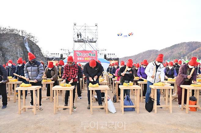 청송사과축제