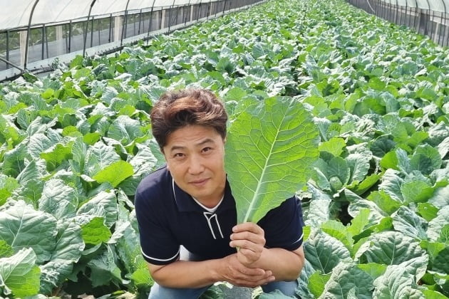 황한수 매곡작목반 대표가 경기 이천시 호법면 매곡리 매곡작목반의 비닐하우스에서 작물을 소개하고 있다.  사진=오정민 한경닷컴 기자