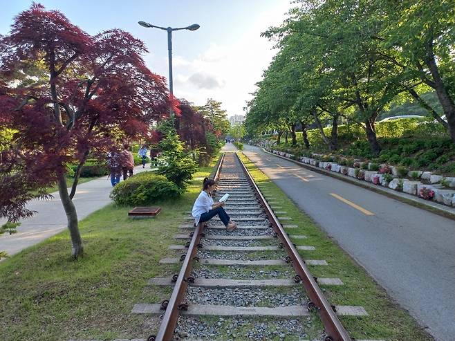 포항 철길숲에서 한 여성이 옛 동해남부선 철로에 앉아 책을 읽으며 휴식을 취하고 있다.(사진은 이달 중순 그린웨이사진공모전 수상작)/포항시 제공