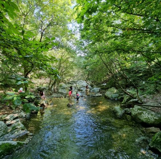 온라인 커뮤니티