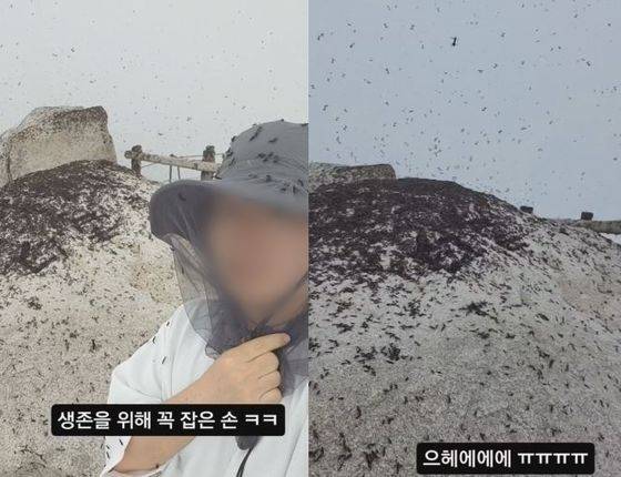 지난달 30일 북한산 정상에 오른 한 등산객이 방충모를 쓰고 그물망을 꼭 붙잡고 있다. (인스타그램 갈무리)./사진=뉴스1