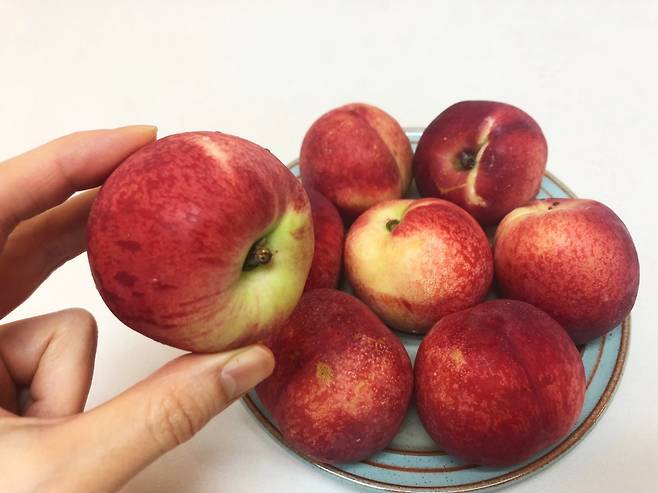 시중에서 판매 중인 ‘신비 복숭아’ 육성연 기자