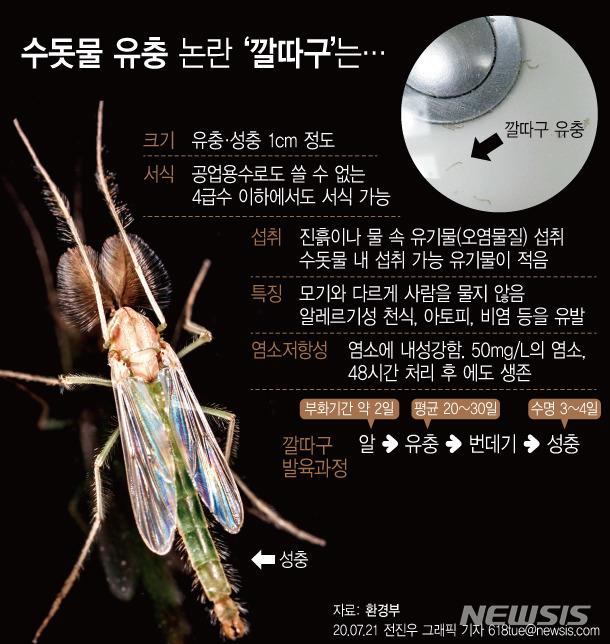 [서울=뉴시스] 깔따구 특징. (그래픽=전진우 기자) 618tue@newsis.com