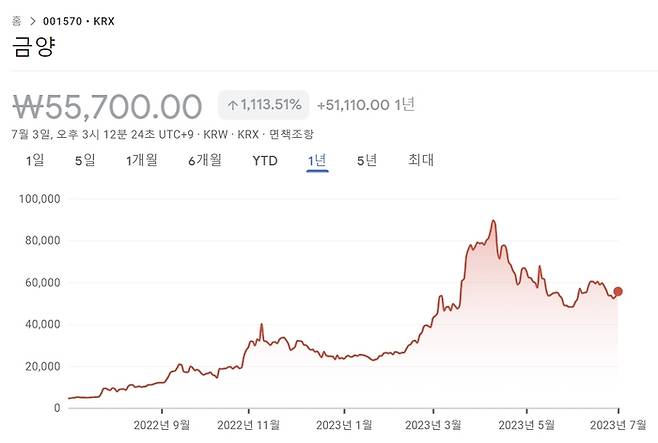 금양의 최근 1년간 주가 추이 [출처 : 구글 파이낸스]