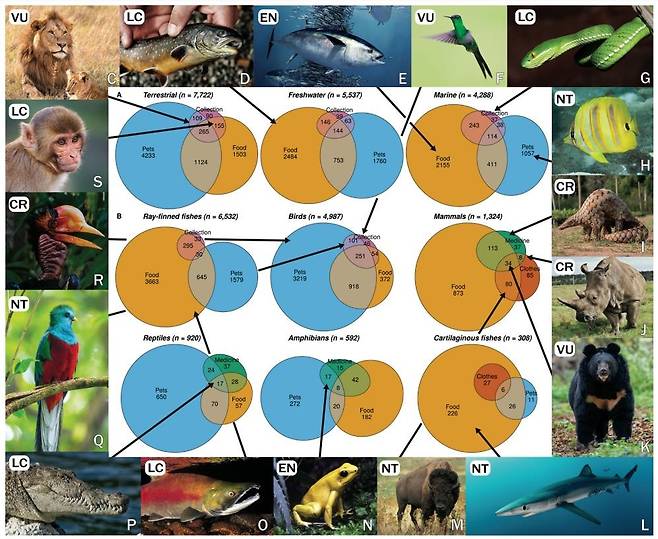 IUCN 육상·수생 척추동물 목록과 인간의 '이용·거래' 척추동물 종 [Communications Biology 논문 캡처. 재판매 및 DB 금지]