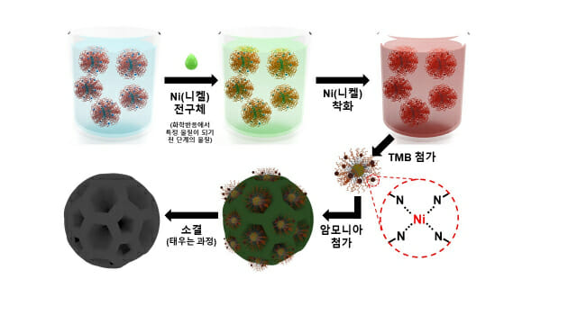 단원자 촉매 합성 모식도