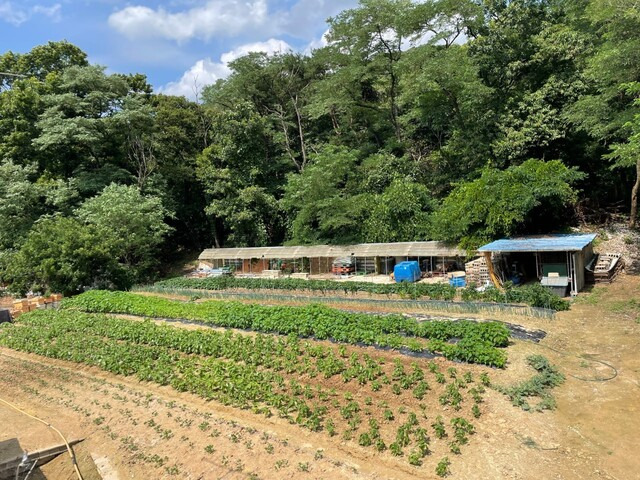 충남 아산에서 개농장을 운영하던 농장주 양아무개씨는 30년간 ‘식용 개’를 사육하다 지난 3월 폐업했다. 뜬장이 철거된 뒤 현재 모습. 김지숙 기자