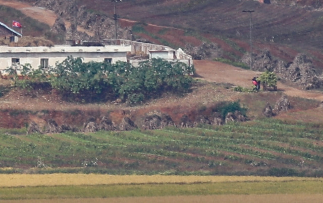 지난해 10월 경기 파주시 오두산 통일전망대에서 바라본 북한 황해북도 개풍군 탈곡장(왼쪽) 옆으로 주민들이 밭 수확물을 나르고 있다. 뉴시스