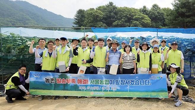 농협 서울지역본부는 4일, 경기도 포천시 내촌면 소재 포도 농가를 방문하여 포도 봉지씌우기 등 농촌 일손돕기를 실시했다. (사진은 1열 왼쪽 4번째부터 황준구 농협중앙회 서울본부장, 김창길 가산농협 조합장, 박윤경 포천시지부장)