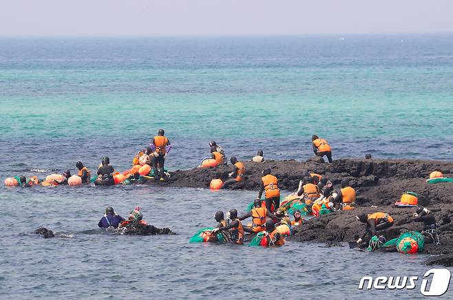 제주시 구좌읍 행원포구 인근 갯바위 에서 해녀들이 해산물 채취를 위해 준비하고 있다./뉴스1