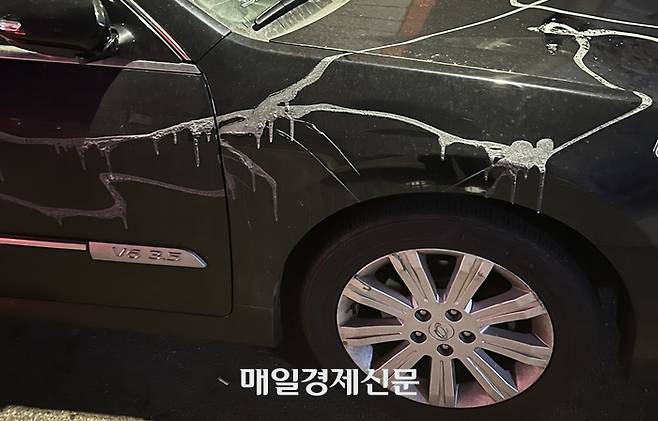 페인트 리무버가 뿌려진 피해차량. [독자 제공]