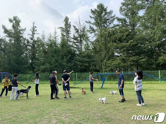 산음자연휴양림 반려견놀이터. (산림청 제공)/뉴스1