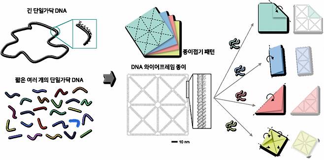 종이접기 원리를 착안해 하나의 구조체를 다양한 모양으로 바꿀 수 있는 DNA(유전자정보) 나노기술 원리. / 사진=과학기술정보통신부