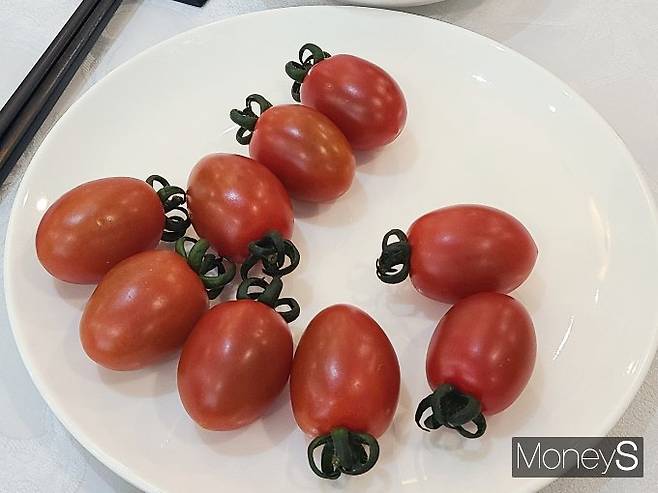 사진은 우듬지팜이 양산한 스테비아 토마토인 '토망고'. /사진=서진주 기자