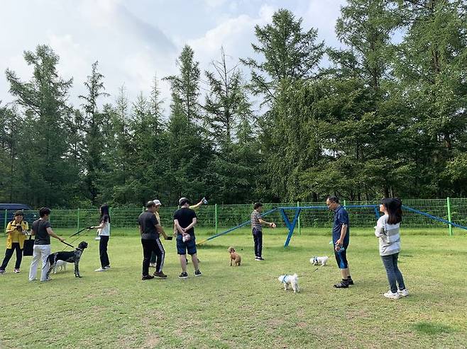 [대전=뉴시스] 산음자연휴양림 내 반려견 놀이터.(사진=산림청 제공) *재판매 및 DB 금지