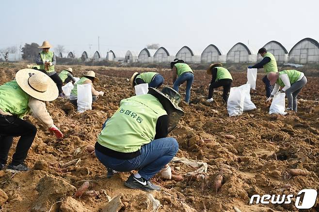 경기도가 김동연 지사의 공약인 '경기도형 농어촌 마을 혁신 프로젝트'를 본격 추진한다. 이를 위해 올해 10월말까지 프로젝트 종합계획 수립을 위한 연구 용역을 추진한다.(자료사진)/뉴스1