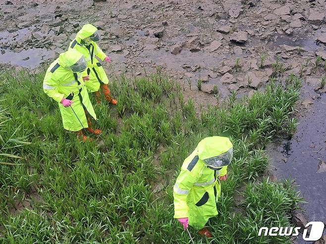 경찰이 4일 경남 거제시 고현천 주변에서 거제 영아 암매장 사건과 관련해 영아 시신을 수색하고 있다.2023.7.4/뉴스1 ⓒ News1 강미영 기자