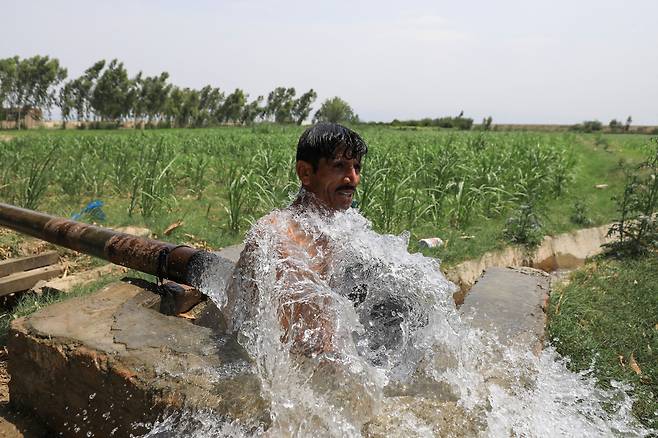 2023년 7월 4일 파키스탄 페샤와르 외곽의 농촌에서 한 남성이 농수로 물로 더위를 식히고 있다. /로이터 뉴스1