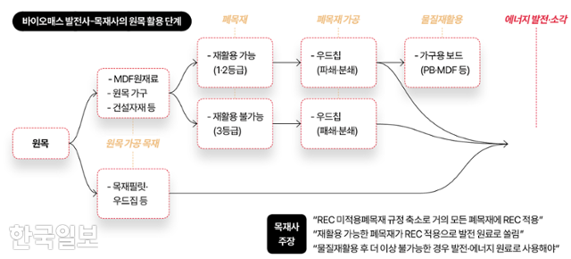 바이오매스 발전사-목재사의 원목 활용 단계. 그래픽=김대훈 기자