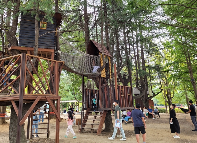 전주 덕진공원 맘껏숲놀이터에 설치된 나무집에서 아이들이 즐겁게 시간을 보내고 있다. 문정임 기자