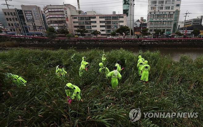 경찰, 영아 살해 유기 사건 시신 수색 [연합뉴스 자료사진]