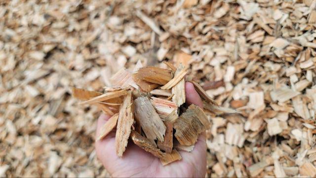 지난달 2일 전북 익산시 한솔홈데코 목재 야적장에 쌓인 재사용 가능 폐목재. 익산=김형준 기자
