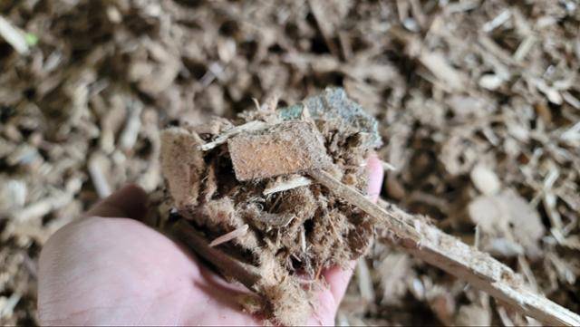 지난달 2일 전북 익산시 한솔홈데코 목재 야적장에 쌓인 사용 불가능한 폐목재. 한솔홈데코에서는 이 같은 폐기물만 발전에 활용한다. 익산=김형준 기자