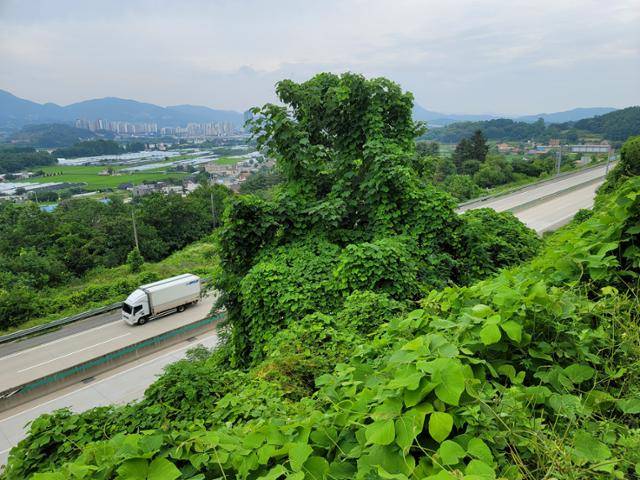김건희 여사 일가가 보유한 것으로 알려진 경기 양평군 강상면 병산리 일대 땅에서 바라본 중부내륙고속도로 전경. 양평=김재현 기자