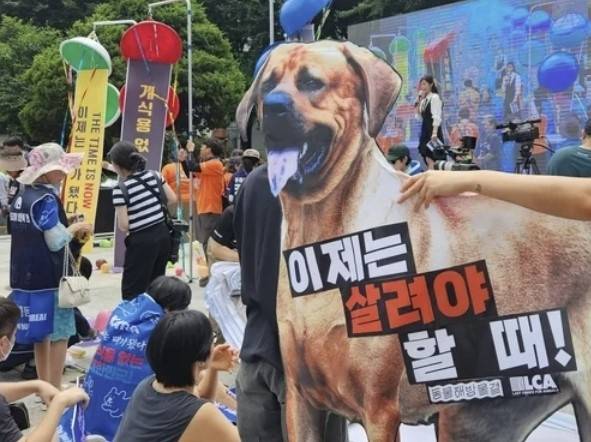 2023 개 식용 종식 촉구 국민대집회. [연합뉴스]