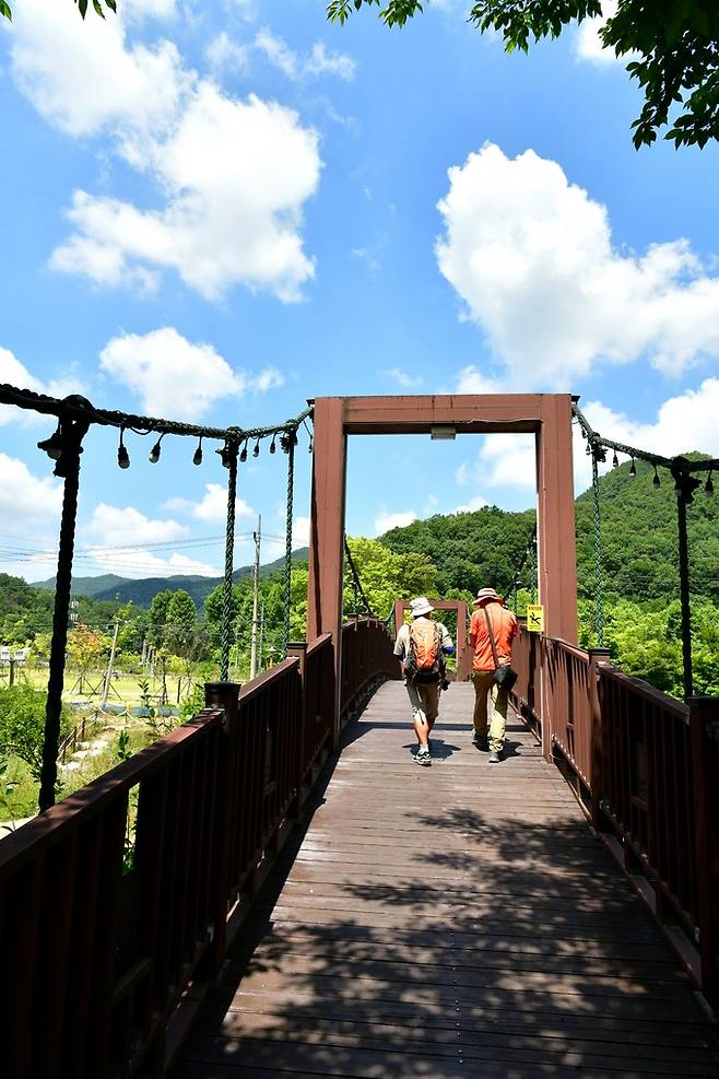 상소동산림욕장 대전천 다리.