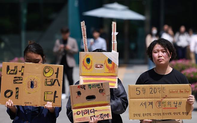 지난 5월16일 서울환경연합 회원들이 ‘세계 벌의 날’(5월20일)을 앞두고 서울시청 앞에서 열린 기자회견에서 공원, 가로수, 궁궐 등 공공 녹지 공간에 치명적인 농약을 사용하는 것을 중단하라고 촉구하고 있습니다. 연합뉴스