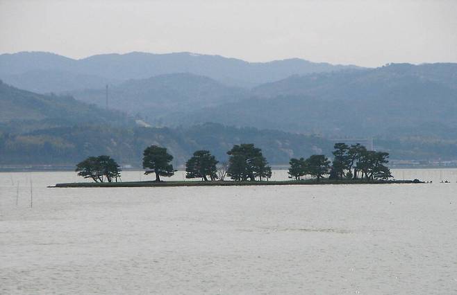 살충제의 문제는 꿀벌만이 아니라 생태계 전체의 문제예요. 네오니코티노이드(네오닉) 계열의 살충제로 수생 생태계가 붕괴한 일본의 신지 호수입니다. 위키미디어 코먼스