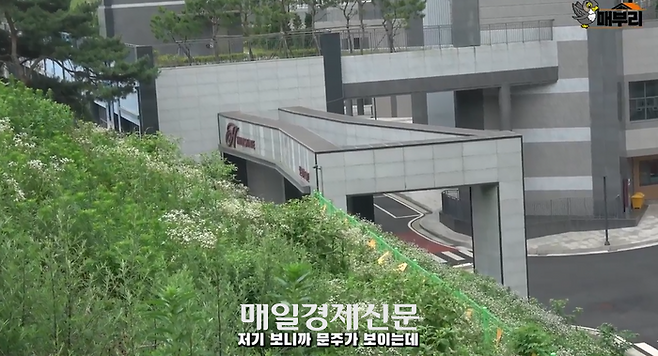 용인 뉴스테이 아파트의 입구 ‘문주’ 앞에 산이 가로막혀 수풀이 무성합니다. <자료=매부리TV>