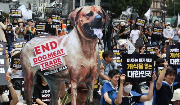 동물해방물결 관계자들이 8일 서울 종로구 보신각 앞에서 열린 ‘2023 개식용 종식 촉구 국민대집회’에서 구호를 외치고 있다. 2023.7.8 뉴스1