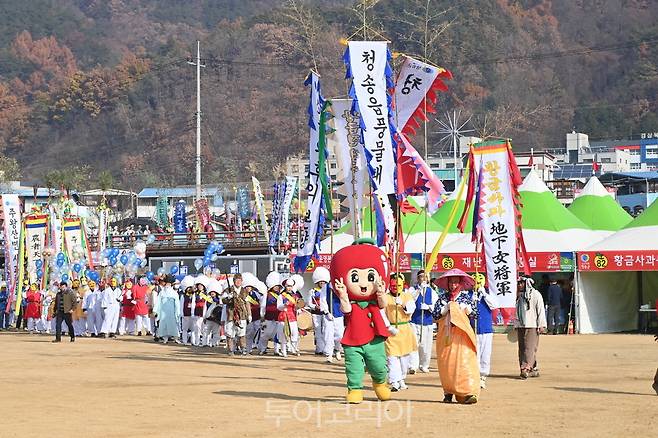 청송사과축제