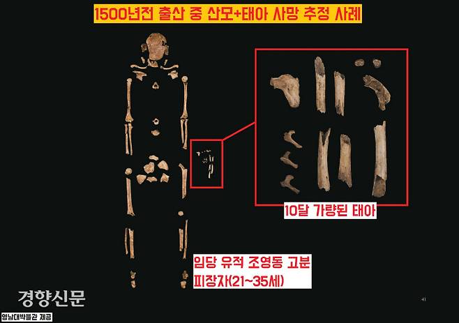 출산 중 사망의 극적인 예(임당 유적 조영동 고분군)가 있다. 무덤 안에는 21~35세 가량의 여성으로 추정되는 인골이 놓여있었는데, 그 옆에 열 달 남짓 성장한 태아뼈가 존재했다. 출산 과정에서, 혹은 출산을 전후한 시점에서 산모가 태아와 함께 사망한 것으로 추정된다. |영남대박물관 제공