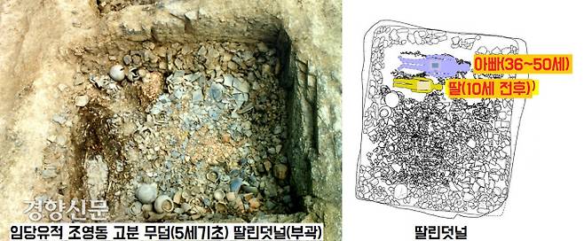 임당유적 조영동 고분군의 한 무덤에서 보이는 일가족 순장의 예. 아버지와 딸이 한꺼번에 순장된 모습이다.|김대욱 영남대박물관 학예연구원 제공