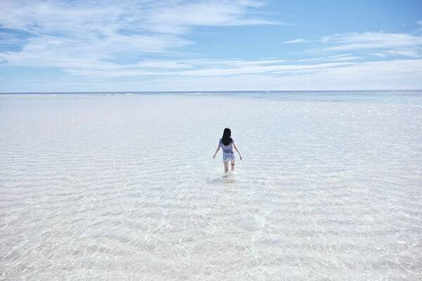 요론섬 / 온라인 커뮤니티