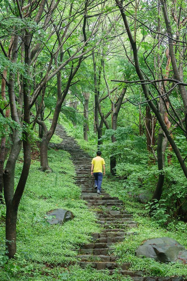 ‘그림 같은 수목원’