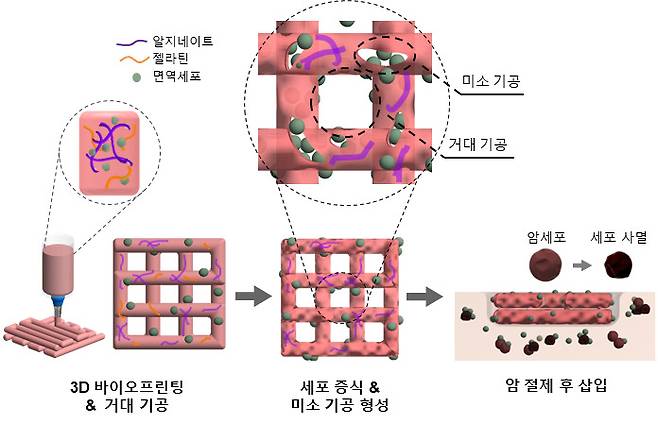 3D 바이오프린팅 NK세포 면역 치료과정 모식도.[한국기계연구원 제공]